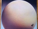 Egg - The civil surface (LP,Album,Vinyl)