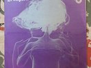 The Groupies SEALED LP Cool & Strange Sex Spoken Word 1969 Mint