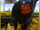 BLINK 182 - DUDE RANCH ORIG 1997 CARGO VINYL LP - EXC/NM - BLACK WAX + GATEFOLD