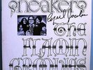 FLAMIN' GROOVIES SNEAKERS INSANELY RARE ORIG'68 10