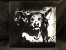 EXECUTE THE Save Your Money JAPAN LP n51125 g.i.s.m. gauze death side comes
