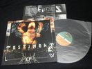 Testament - Low Vinyl LP 1994 Atlantic