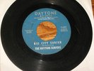 THE RHYTHM SURFERS 