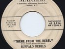 Buffalo Rebels (Rockin) Rare Local Teen Rockabilly 45 Tom Shannon Marlee HEAR IT