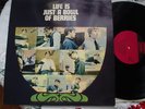 THE ROCKIN BERRIES LIFE IS A BOWL OF BERRIES RARE PYE UK LP GREAT CONDITIONS