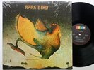 Rare Bird ABC Probe DJ LP 1969 in Shrink