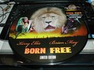 QUEEN BRIAN MAY,KERRY ELLIS.BORN FREE UK PICTURE DISC /LIMITED EDITION MINT