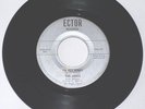 RARE Texas Garage Fuzz - The Jades - I'm All Right / Till I Die - Ector 101