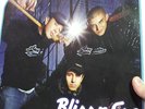 Bliss n Eso - Flowers In The Pavement  2LP (2004) - rare OZ HIP HOP