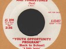 NORTHERN SOUL  YOUTH OPPORTUNITY PROGRAM   