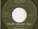 BARRY LANE  rocker 45  Doggone Lonesome Town / I Don't Want You - NM