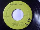 MELLOW LARKS - BURNING FIRE REGGAE 45
