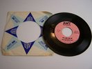 The Reasons Why Tell Her One More Time/ Try And See Me Amy Records Promo Garage