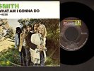 Rock Group SMITH 45 PS What Am I Gonna Do on DUNHILL 4238 rare picture sleeve