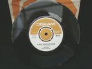 The Syn - 14 Hour Technicolour Dream / Flowerman. (Syndicats, Yes)