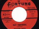 New Breed R&B * DOCTOR ROSS * Cat Squirrel * FORTUNE * Listen MP3  Detroit Blues