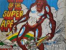 LP / THE UPSETTERS /  RETURN OF THE SUPER APE / DUB ALBUM
