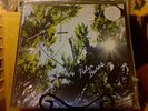 Flea Helen Burns LP sealed vinyl Red Hot Chili Peppers RHCP