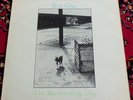 B.J Cole The New Hovering Dog LP 1972 UK UA NM Pecko Vinyl Cochise King Crimson