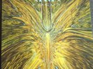 Cynic Focus Lp