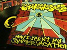 THE BOUNCING SOULS how i spent my summer vacation LP PUNK lifetime nofx catch 22