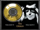 ROY ORBISON - YOU GOT IT - FRAMED 'SILVER' or 'GOLD' 45rpm  RECORD