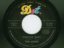 Dynamite 60s TX Garage 45: The Briks, Dot 16876, VG++