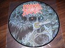 Morbid Angel - Abominations of desolation Picture LP - Mint - Unleashed - Sodom