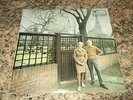 FAIRPORT CONVENTION unhalfbricking ORIG UK  LP FOLK on PINK ISLAND