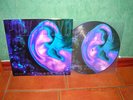 PINK FLOYD - ONE OF THESE DAYS LP  & GREAT PICTURE DISC COLLECTOR 