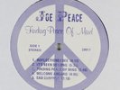 JOE PEACE Finding Peace of Mind WORLD IN SOUND LP private psych record only