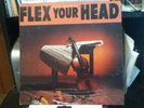 FLEX YOUR HEAD Minor Threat VOID Youth Brigade Government Issue IRON CROSS vinyl