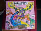 Bird Nest Roys - same, LP on Flying Nun Rec.
