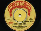 HERE I COME AGAIN Winston Samuels (BOSS 1968 Skinhead Reggae)+ LITTLE ROY (EX-)?