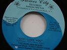 Deep Soul Beat Ballad 45 DARLING DEARS I Don't Think I'll Ever Love FLOWER CITY