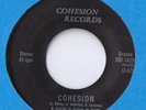 KILLER PRIVATE 1977 MN MONSTER Funk 45 RECORD COHESION BAND Expense  *LISTEN*