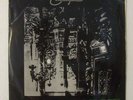 Tramline  Moves Of Vegetable Centuries Pink Island UK Progressive Rock