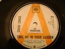 1967 SINGLE BY DRUID CHASE, TAKE ME IN YOUR GARDEN / I WANNA GET MY HANDS ON YOU