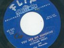 Northern / Classic R&B - Richard Berry - Louie Louie / You are my sunshine  VG++