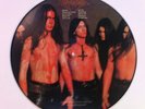 Picturevinyl Dismember