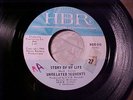 UNRELATED SEGMENTS Story Of My Life KILLER MICHIGAN 60s GARAGE PUNK 45 HEAR