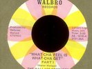 THE WALLACE BROTHERS What-Cha Feel is What-Cha Get Walbro Rare OH Funk 45 Hear