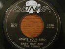 BABY RAY & THE FERNS Frank Zappa World's Greatest Sinner orig 45