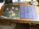 Deep Purple Who Do We Think We Are LP UK Purple Records 1973  Lyrics