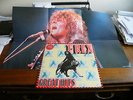 Marc Bolan T Rex Great Hits LP UK EMI Records 1973 Poster 