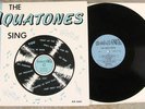 THE AQUATONES SING. Original 1964 Fargo LP in NEAR MINT CONDITION