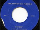 Funk 45 Rainbow - Do What You Wanna (Willmington House)