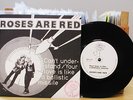 ROSES ARE RED - Can't Understand -1979 UK punk vinyl 7