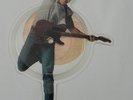 Bruce Springsteen Shaped 10