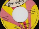 The Five Du-Tones - Shake A Tail A Feather - Killer R&b Mod Dancer - 45 7